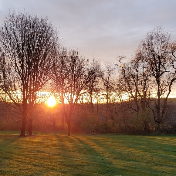 About Me: Leslie Monahan - Perennial Purpose - Picture 3 of 8